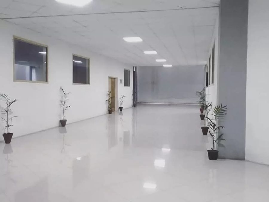 Wide white corridor with potted plants